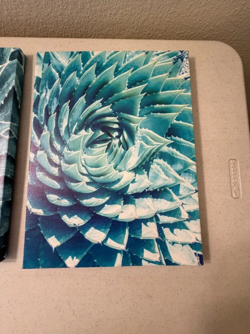 3-Piece Agave Botanical Succulent Wrapped Canvas Wall Art Set